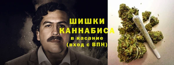 мдпв Ладушкин