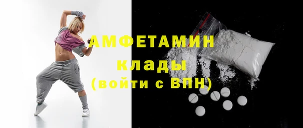мдпв Ладушкин