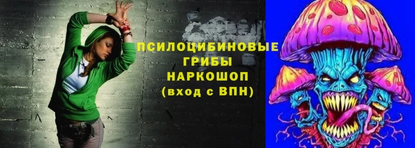 мдпв Ладушкин