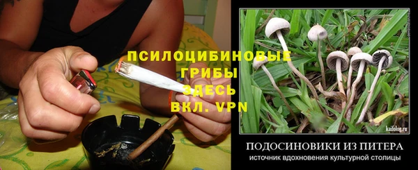 мдпв Ладушкин