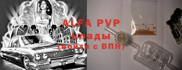 мдпв Ладушкин
