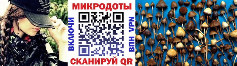 Псилоцибиновые грибы Psilocybe  где купить   Южно-Сахалинск 